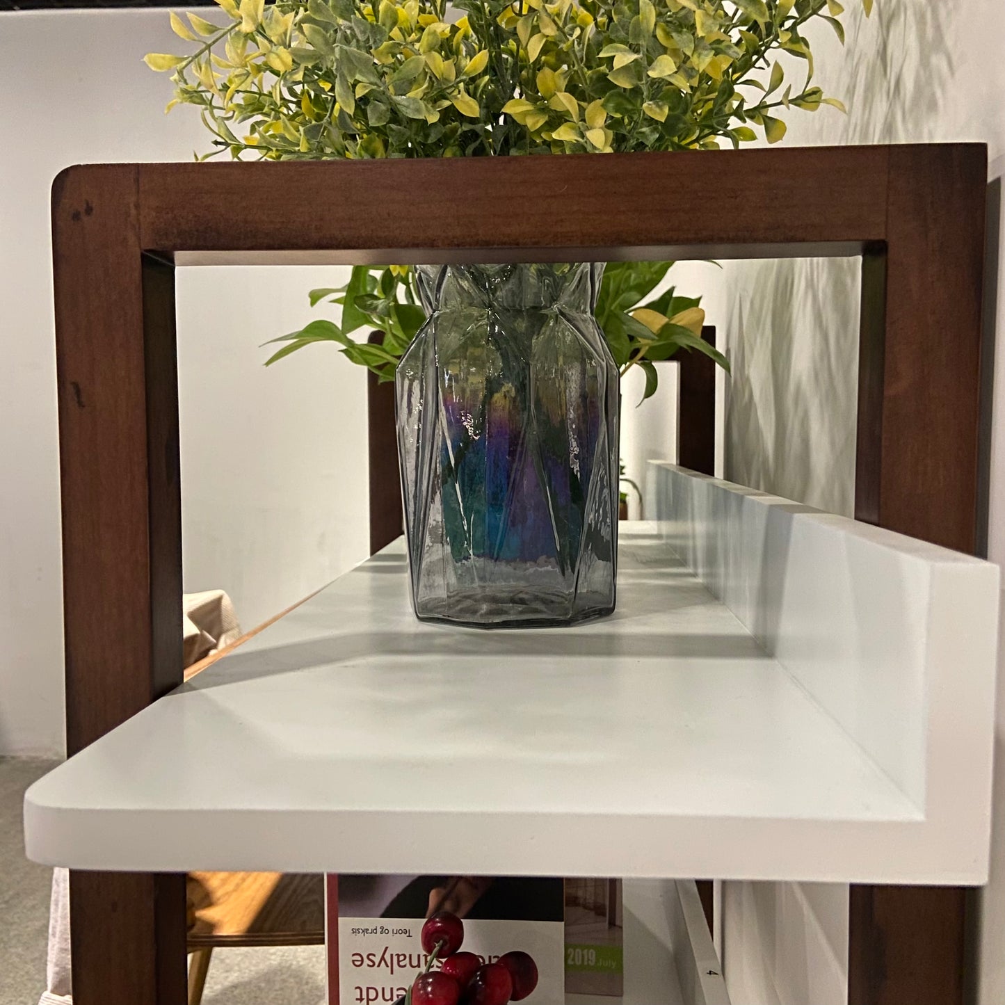 Facilehome Multifuction Bookcase with Solid Wood Frame,Mix Color Plant Standing for Home Decro